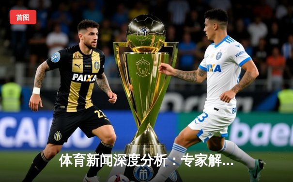 体育新闻深度分析：专家解读