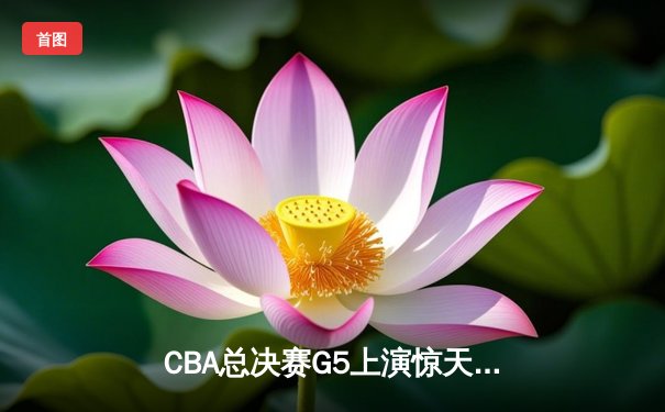 CBA总决赛G5上演惊天逆转 辽宁本钢加时险胜广东宏远成功卫冕